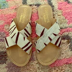 Coconuts by Matisse zebra pony hair slides